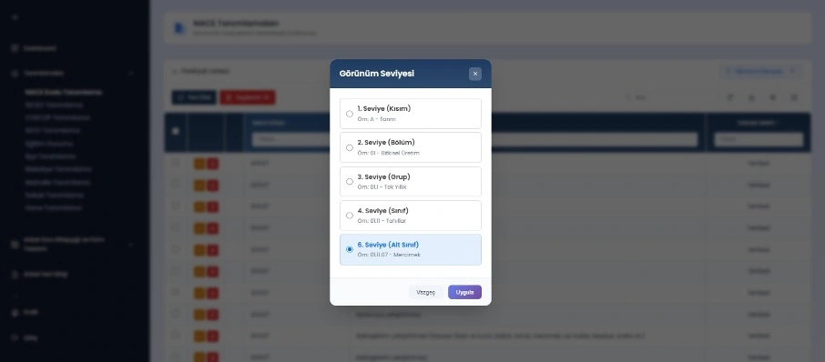 Seviye Bazlı Tanımlama Ekranları